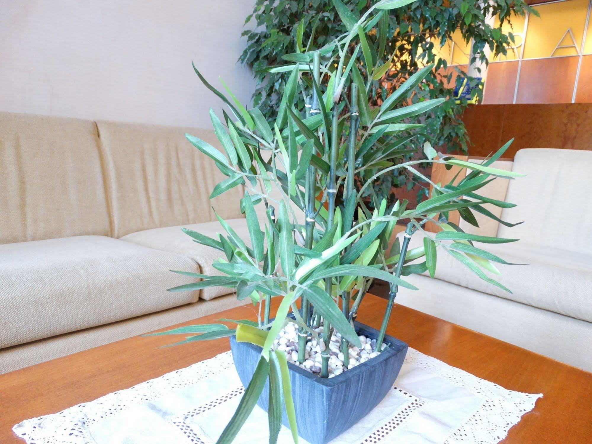 Hotel Rambla Figueres Екстериор снимка